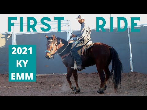 Pelos - First Ride!, 2021 Kentucky Virtual Extreme Mustang Makeover, Week 3