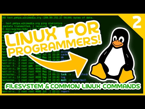 Linux for Programmers 2 FileSystem Common Linux Commands