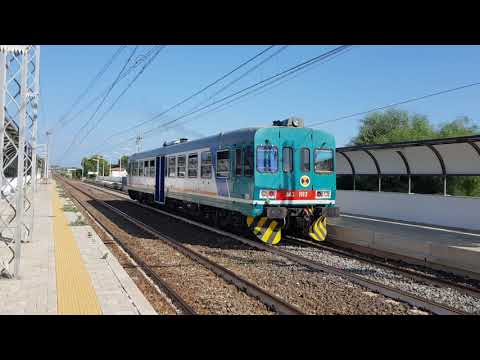 Treno Regionale Aln663 1113 Regionale 21697 Roccella Jonica-Reggio di Calabria Centrale