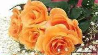 كلمات اغنية ام العيون السود ناظم الغزالي