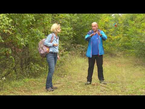 Infrastructură de acum 2000 de ani: Drumul roman de la Geoagiu #IstoriiAscunse @TVRTM