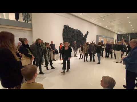 Arone Dyer’s Drone Choir Asheville Art Museum