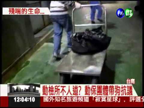 安樂死不安樂! 流浪狗棄如垃圾