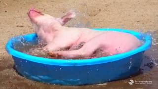 Von D Makes a Splash!