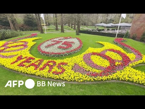 園芸 オランダのキューケンホフ公園