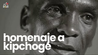 Homenaje a KIPCHOGE - Maraton de Berlin 2018 - Mot