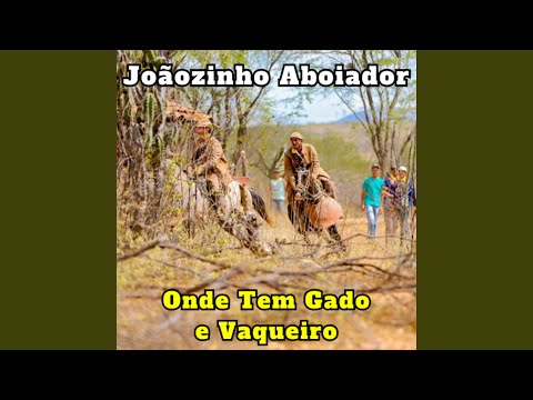 Adeus Minha Pedra Preta