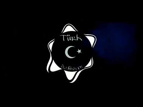 Mavera X YUNGALPAXINO - Tesla