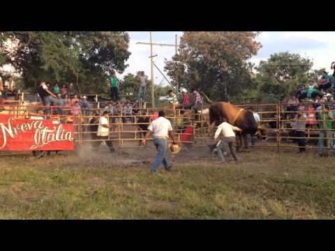 Rancho el triangulo               Toro : Codigo Rojo