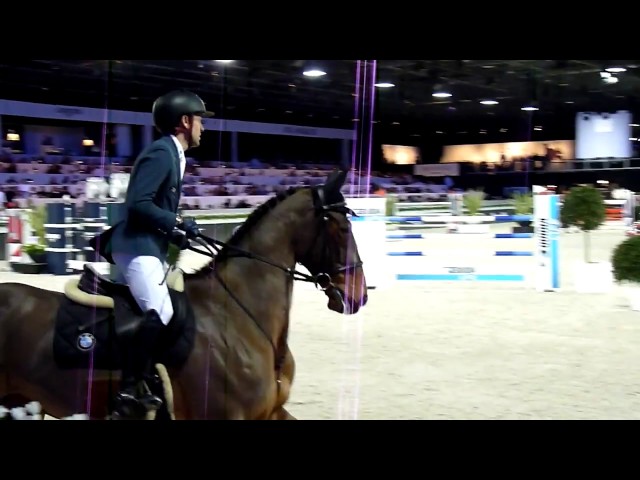 The half-brother of the grandmother is the CSI 1.60m jumping horse Sultan du Chateau with rider Simon Delestre.