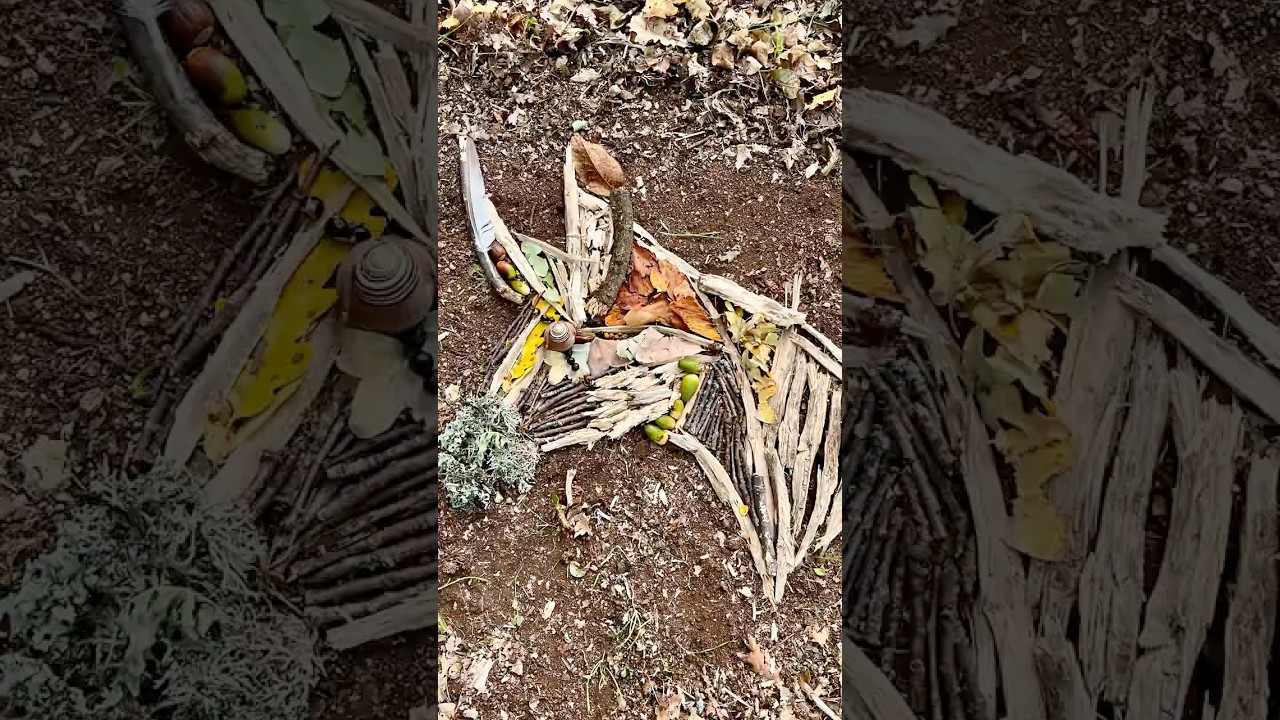 Land Art Vitozza 12/10/2025 🌿🏛️🧺🍂