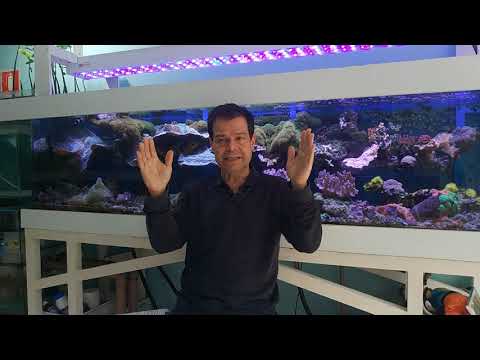 Qual o Melhor Sal Marinho e Mais Sobre Iluminação - Aquashow - Parte 212