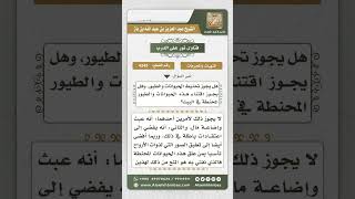 صورة 4345 -  حكم تحنيط الحيوانات ووضعها في البيوت  - نور على الدرب