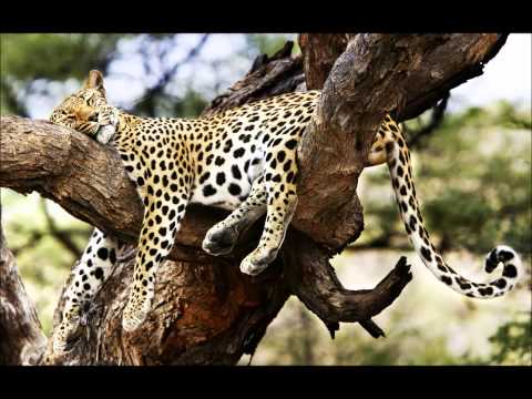 Sima Deep   Underground Resident 029 on tm radio com Jan 13, 2013