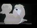 Lady And The Tramp Singing Scene He S A Tramp But I Love Him