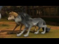 Alpha And Omega Getting On The Camper