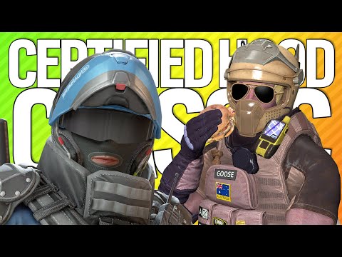 LARDEX MOZZIE CERTIFIED HOOD CLASSIC | Rainbow Six Siege