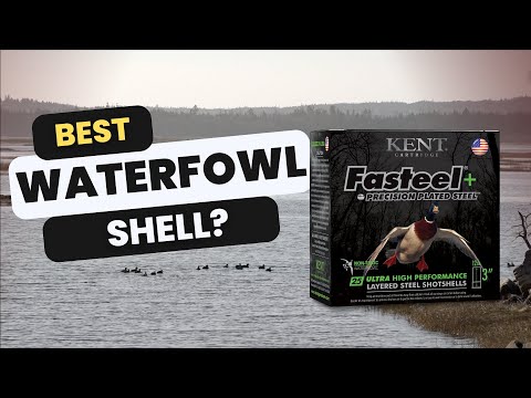 Kent Cartridge Fasteel+ | Hardest Hitting Shotgun Shell For Duck Hunting?