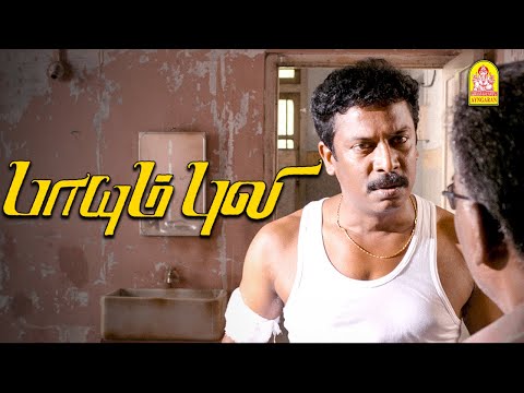 உன் அண்ணனையே சந்தேக படுறியா டா ? | Paayum Puli HD Movie | Vishal