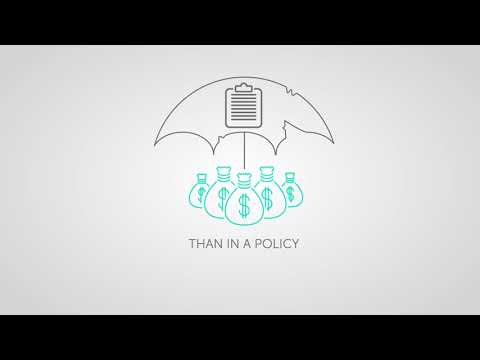 Explainer Video - Steadfast 2 | Punchy Digital Media