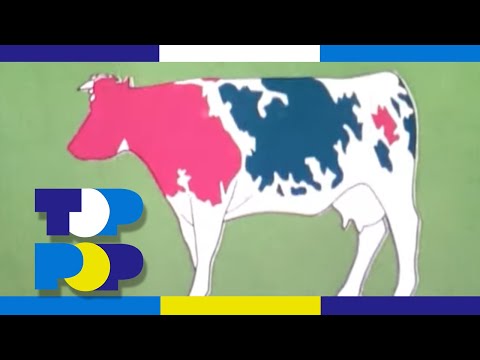 Toppop Leader - Season 5 (1974-1975) • TopPop