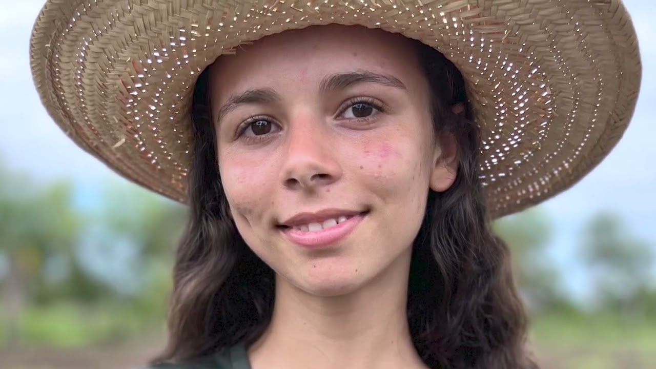 Semear Digital: DAT Guia Lopes da Laguna inicia implantação de ILPF