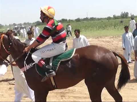 Horse Race Challay Sharif 2015 Part 1 Ch Habib Ullah | Challay Sharif, Gujrat Punjab Pakistan