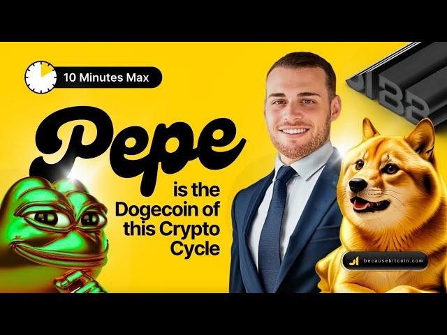 BecauseBitcoin – Pepe is the Dogecoin of this Crypto Cycle 🐸 (14.11.2024 Summary)