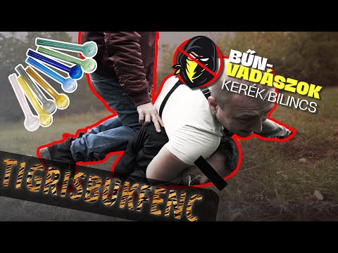 Tigrisbukfenc (Kerék/bilincs 3. rész)