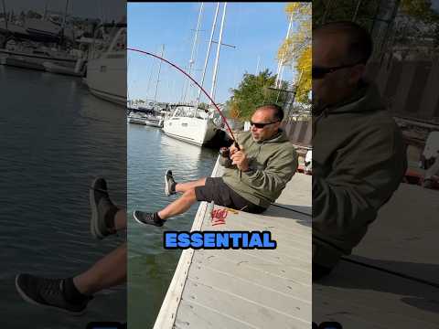 Is This the BEST Salmon Bait??? 🐟