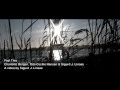 Feel This - Bethany Joy Galeotti (music video HD ...