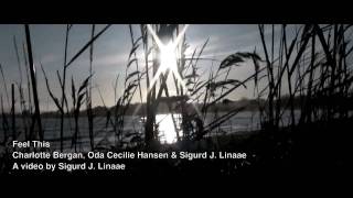 Feel This - Bethany Joy Galeotti (Musikkvideo)