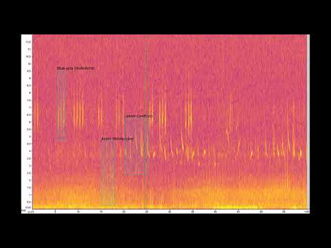 s2lam051 190621 2019 06 22 20 30 annotated