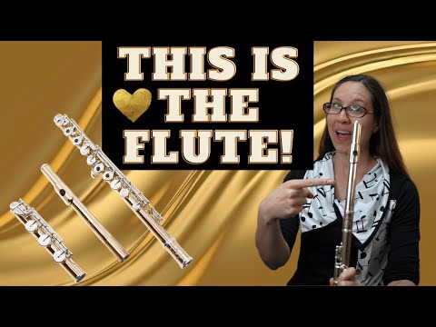 Di Zhao GS-D Series Gold-Silver Flute Review