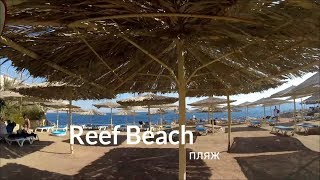 Египет-2017/ платный пляж возле отеля Sharming Inn Hotel 4*