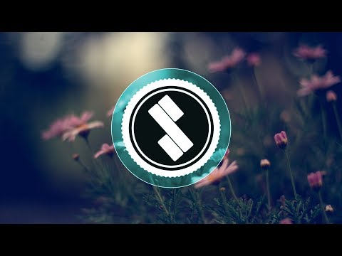 Didn't Know | Digital Farm Animals (ft. Yasmin)