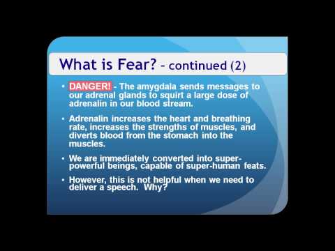 "Taming the Worry Monster" - A video lecture snippit with Dr. Dan Peters