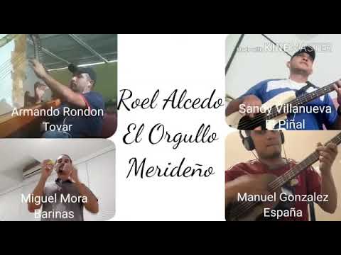 CUCARACHERO ARAUCANO ROEL ALCEDO