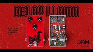 Video thumbnail for JAM pedals | Delay Llama by JAM pedals