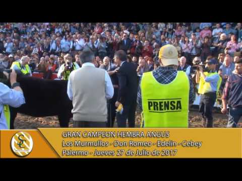 27-07-17 Gran Campeon Hembra Angus - Palermo