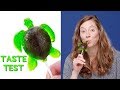 Gummy Sea Turtle Taste Test