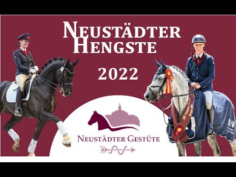 Online-Hengstpräsentation Brandenburgisches Haupt- und Landgestüt Neustadt (Dosse)