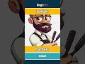 barber - barbero video thumbnail