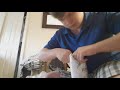 National Treasure 2 Book Secret Dvd Unboxing