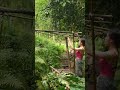 JUNGLE SHOWER Camping Outdoors Campinglife Asmr Nature Shower Fpyシ Bikini