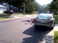 Turkey chasing car in front of my house. Turkey chasing car in front of my house.
