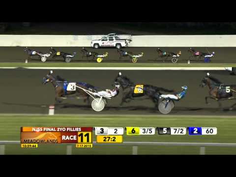 New Jersey Sire Stakes Final - Blue Moon Stride - July 17, 2015