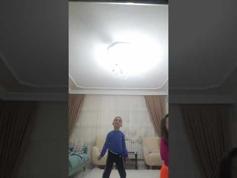 yusufemir erik dalı