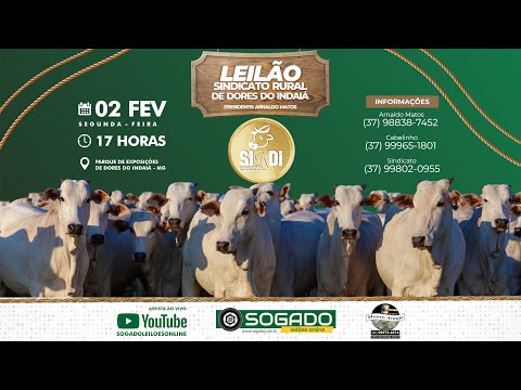 LEILÃO DO SINDICATO RURAL DE DORES DO INDAIÁ/MG - 02/02/2026