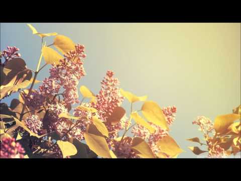 Elvin Ong - Spring (Blood Groove & Kikis Remix)